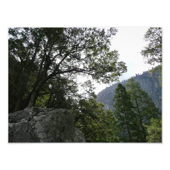 Foto Mañana en el sendero a las cataratas vernales en Y (Frente)