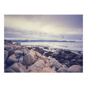 Foto Mañana pacífica