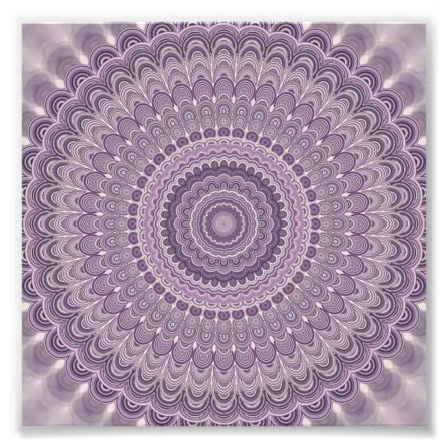 Foto Mandala de plumas moradas (Frente)