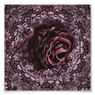 Foto Mandala de rosa