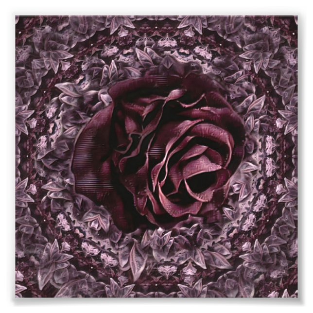 Foto Mandala de rosa  (Frente)