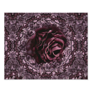 Foto Mandala de rosa 