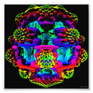 Foto Mandelbulb 1 impresión