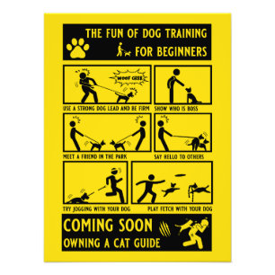 Foto Manual de instrucciones de entrenamiento de perros