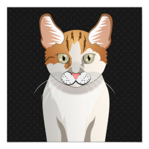 Foto Manx Cat Personalizado Paws