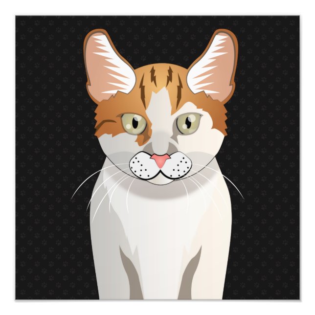 Foto Manx Cat Personalizado Paws (Frente)