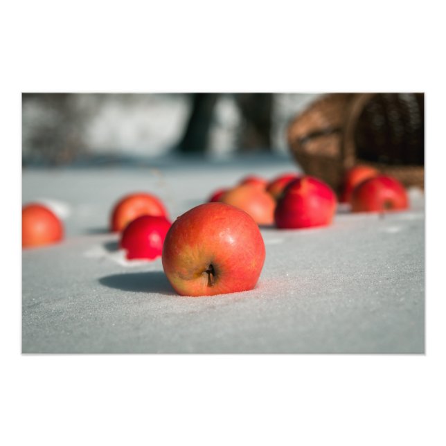 Foto Manzanas en la nieve (Frente)