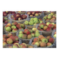 Manzanas Macintosh del estado de Nueva York en ces