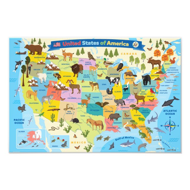 Foto Mapa de animales estadounidenses para niños (Frente)