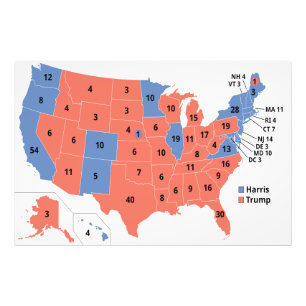 Foto Mapa de las elecciones del Colegio Electoral 2024