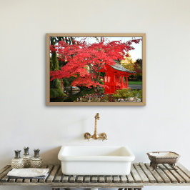 Foto Maple japonés rojo y santuario de jardines