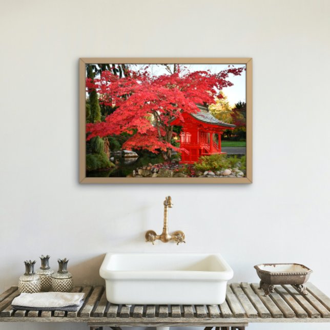 Foto Maple japonés rojo y santuario de jardines (In Situ Framed)
