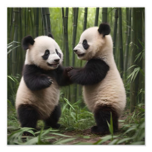 Foto Maravillas singulares: Los pandas bebés juegan en 