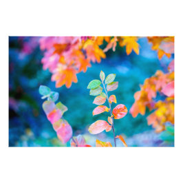 Foto Maravillosas hojas de montaña