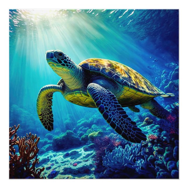 Foto Marea Turtle Ocean Marine Life Beach Animales de l (Frente)