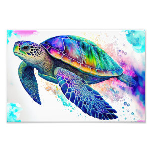 Foto Marea Turtle Ocean Marine Life Beach Animales de l
