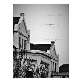 Foto "Margen lunático"