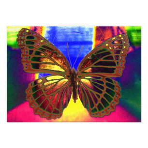 Foto Mariposa