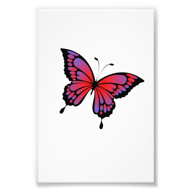 Foto Mariposa (Frente)