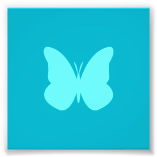 Foto mariposa acuática