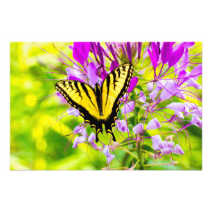 Foto Mariposa amarilla de Swallowtail