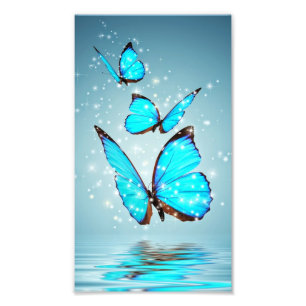 Foto mariposa azul brillante hermosa