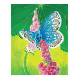 Foto Mariposa azul Chapmans (tersidades Polyommatus)