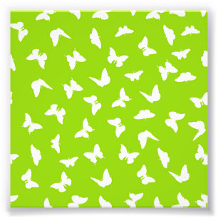 Foto Mariposa Blanca Fondo Verde Patrón Estético