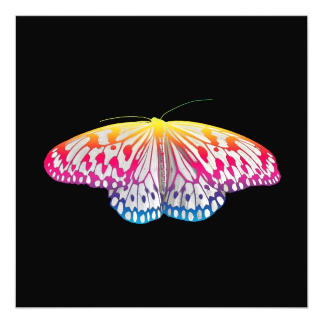 Foto Mariposa de color arcoiris (Frente)