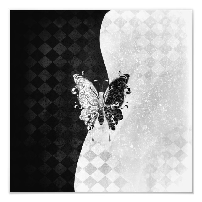 Foto Mariposa de dos tonos (Frente)