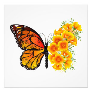 Foto Mariposa de flores con amapola amarilla de Califor