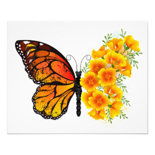 Foto Mariposa de flores con amapola amarilla de Califor