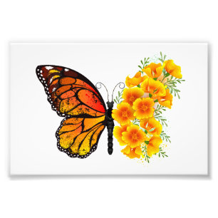 Foto Mariposa de flores con amapola amarilla de Califor