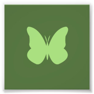 Foto mariposa de salvia