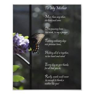 Foto Mariposa Encantadora "A Mi Madre" Gracias Poetilla