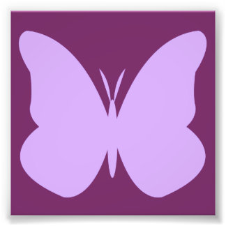Foto mariposa lilac