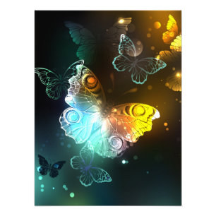 Foto Mariposa luminosa y mariposas nocturnas
