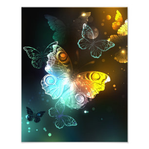 Foto Mariposa luminosa y mariposas nocturnas