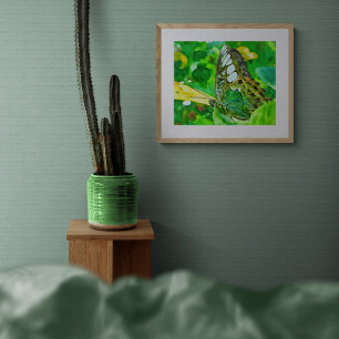 Foto Mariposa Malaquita sobre Hoja Verde