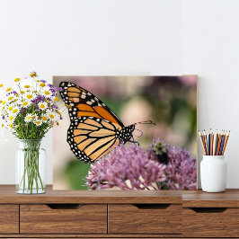 Foto Mariposa monarca y abejorra en flor silvestre