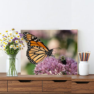 Foto Mariposa monarca y abejorra en flor silvestre