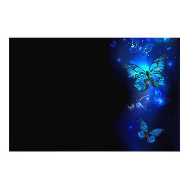 Foto Mariposa morfo en el fondo oscuro (Frente)
