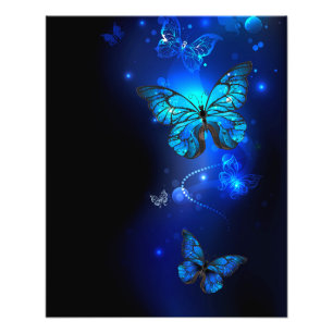 Foto Mariposa morfo en el fondo oscuro