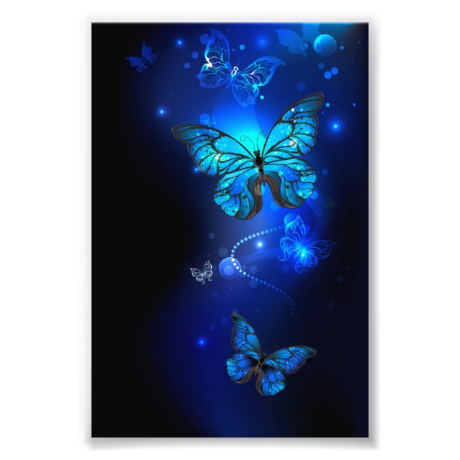 Foto Mariposa Morpho en fondo oscuro (Frente)