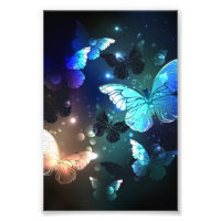 Mariposa nocturna fluida