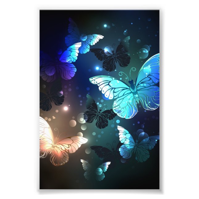 Foto Mariposa nocturna fluida (Frente)
