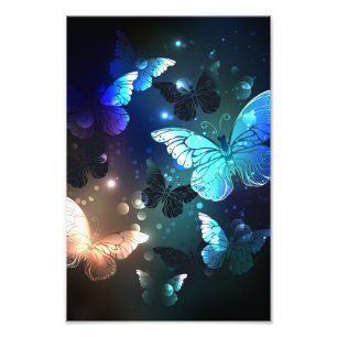 Foto Mariposa nocturna fluida