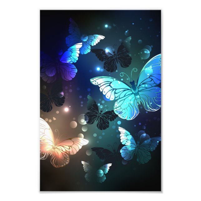 Foto Mariposa nocturna fluida (Frente)