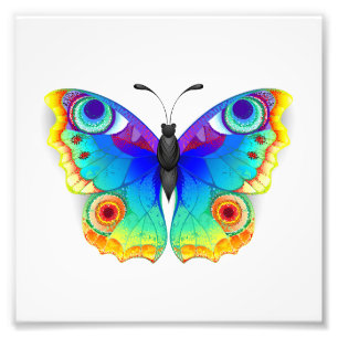 Foto Mariposa Pavo Real Ojo de Arcoíris