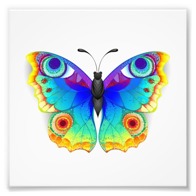 Foto Mariposa Pavo Real Ojo de Arcoíris (Frente)